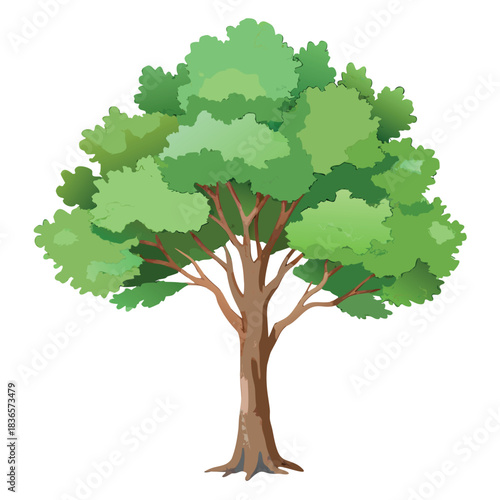 Beautiful green tree illustration with layered foliage and a textured trunk, in a clean, watercolor-style design