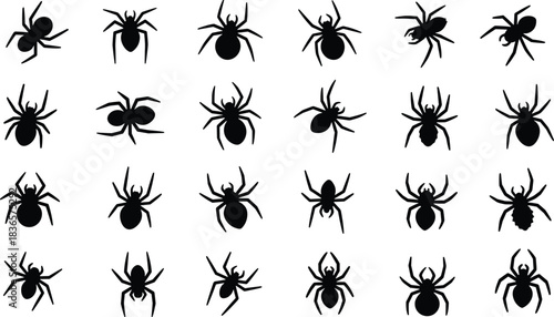 Variety of Spider Silhouettes Collection, Black Arachnid Icons, Diverse Crawling Spiders for Halloween and Scary Themes Vector