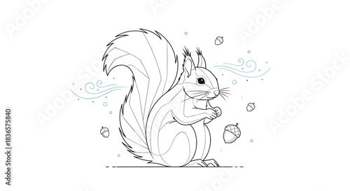Beautiful black and white line art illustration of a fluffy squirrel holding a nut, surrounded by acorns and whimsical decorative swirls.