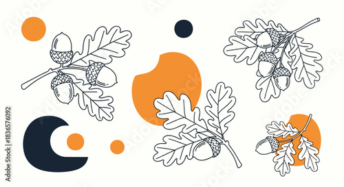 Modern abstract composition featuring delicate line art of oak branches and acorns combined with bold orange and blue shapes.