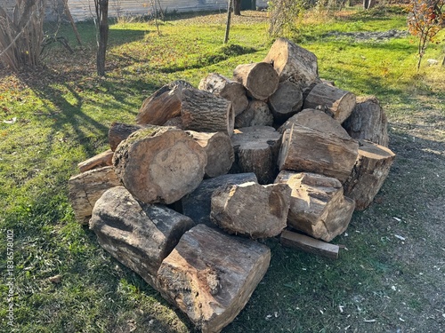 The logs appear to be freshly cut, ready for use, possibly for firewood or construction . a pile of neatly stacked wood logs on a grassy area, with the warm sunlight filtering through the trees.