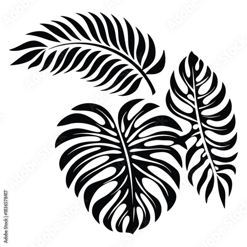 Tropical Leaves Silhouette, Palm Frond & Monstera Arrangement, Exotic Foliage Black & White