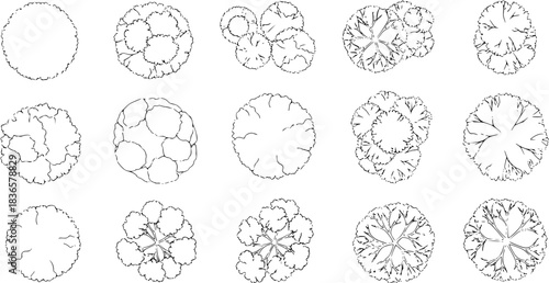 Tree top view line illustrations, perfect treetop for architectural plans, landscape design, and urban planning projects. detailed tree and foliage sketches for professional designs