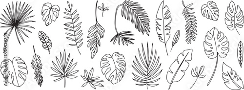 Seamless pattern of various outlined tropical leaves in minimalist style