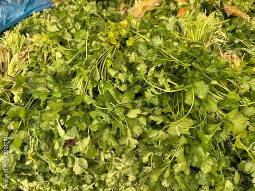 Fresh green grass parsley dill. Herbs mix. At the market . Fresh, juicy greens, dill, parsley on the store counter .