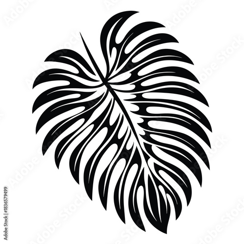 Monstera Deliciosa Leaf Silhouette, Exotic Foliage, Tropical Plant, Black and White