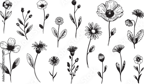 Botanical floral doodle set of blooming wildflowers and plants design