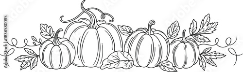 Elegant pumpkin border design element illustration for Fall and Autumn designs