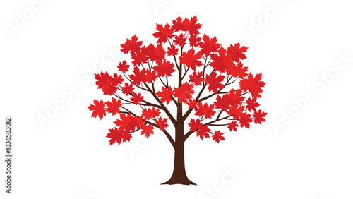 Stunning vibrant red maple tree bursts with autumn color against a clean white background illustration