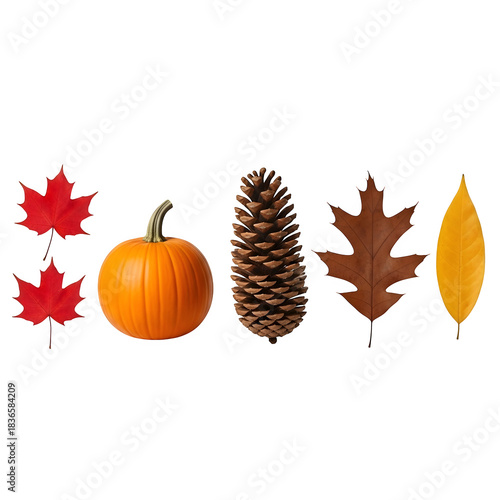 Pumpkin isolated on transparent background