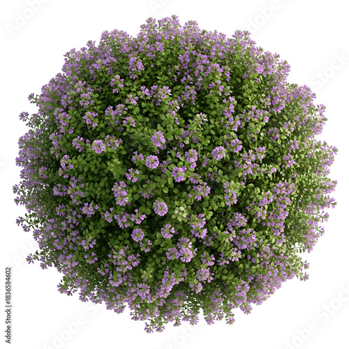 Flower ball isolated on transparent background