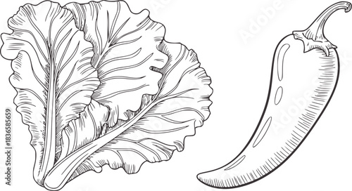 Black and white illustration of leafy greens and chili pepper