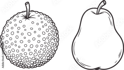 Black and white outline drawing of a pear and a textured round fruit