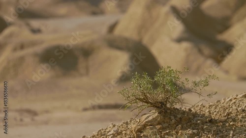 Jesus Christ, dressed in traditional white robes, explores an austere and sculptural desert environment. The earthy tones of the natural formations evoke a sense of temptation or timeless wandering.