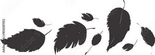 Dark grey painted leaves on white background leaf autumn