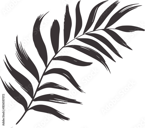 Dark grey palm frond silhouette on white background 1