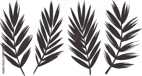 Four dark grey palm fronds with brush stroke texture