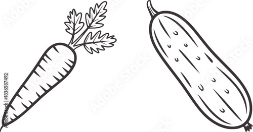 Hand drawn carrot and cucumber outline vegetable food