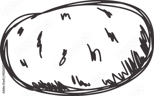 Hand drawn potato sketch dark grey outline food vegetable