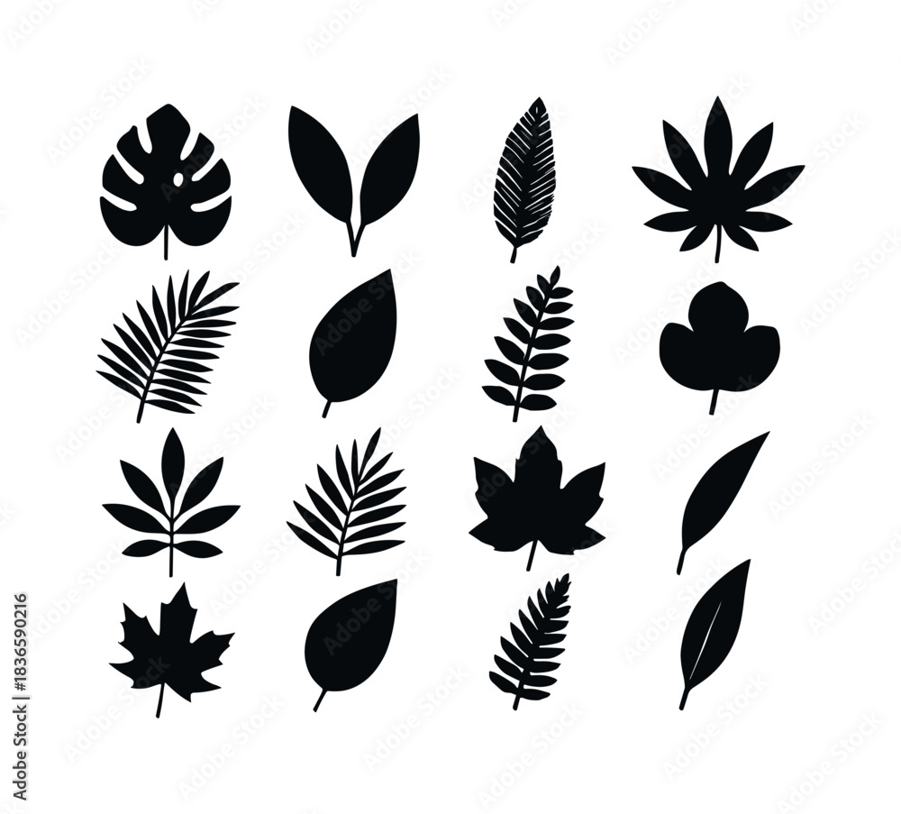 Fototapeta premium Leaf shapes set in black. The shapes include a maple leaf, a palm leaf, a palm tree leaf, a leaf with a stem. Vector EPS 10
