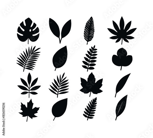 Leaf shapes set in black. The shapes include a maple leaf, a palm leaf, a palm tree leaf, a leaf with a stem. Vector EPS 10
