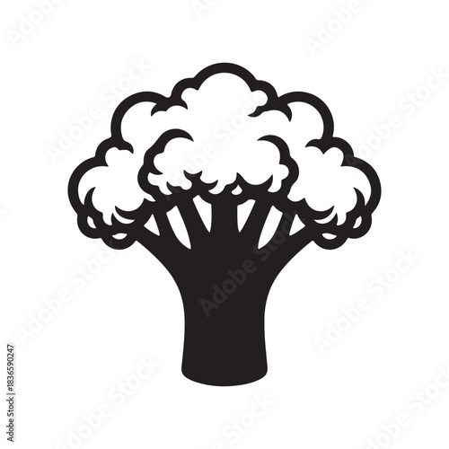 Fresh broccoli head healthy green vegetable food cooking ingredient vector