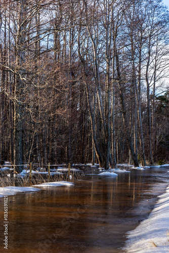Frozen flooded forest path. Winter floodwater covering a forest path with bare trees, ice, and snow glistening in sunlight.