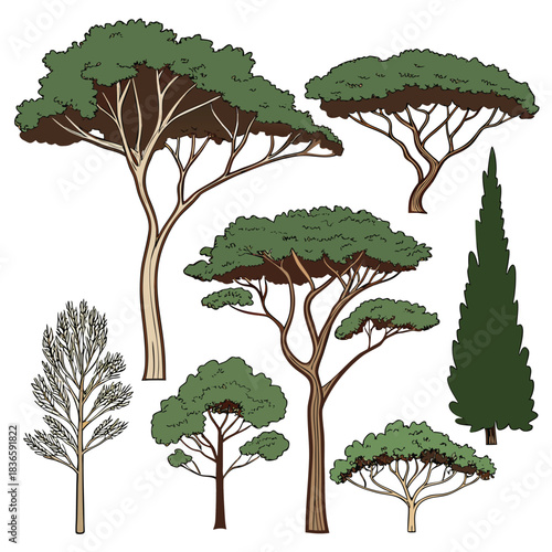 Vector illustration collection of various stylized mediterranean pine and cypress trees with green foliage