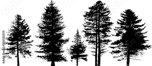 Black and white stencil art of deep forest tree trunks for nature-inspired designs