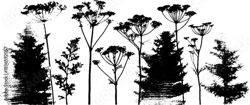 Black and white stencil art of deep forest flora silhouettes for natural decor