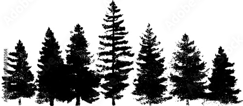 Black and white stencil illustration of deep forest tree silhouettes for nature design