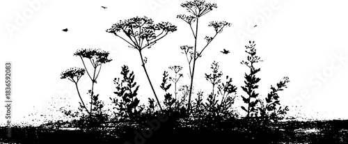 Black and white stencil illustration of undergrowth scenery with wild plants and birds