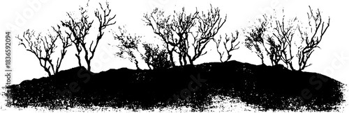 Black and white stencil of dense undergrowth for urban art design