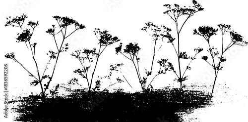 Black and white stencil of delicate rime ice on plant silhouettes for artistic design