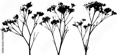 Black and white stencil of delicate rime ice inspired branches for design and decor