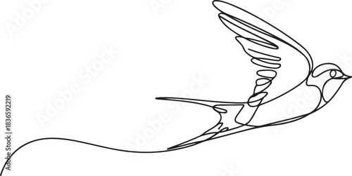 Barn Swallow flying, barn swallow flyin continuous one line drawing, Domestic Barn swallow in flight. one line Icon drawing