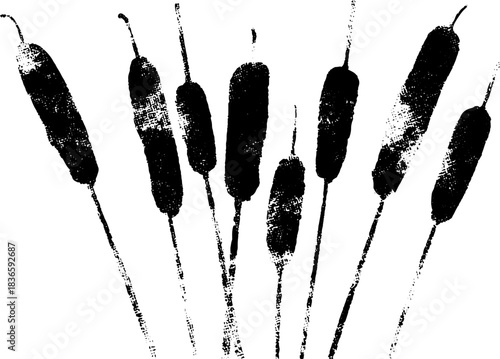 Black and white stencil illustration of dried cattail silhouette for nature design
