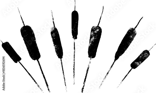 Black and white dried cattail silhouette stencil art for nature design