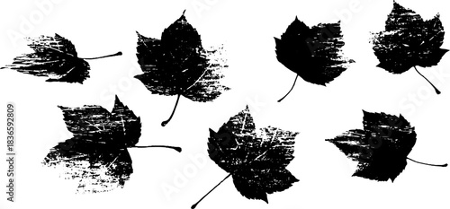 Monochrome stencil illustration of drifting autumn leaves silhouette