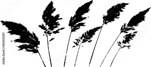 Black and white stencil of drifting dune grass silhouettes for coastal design
