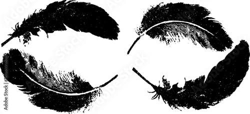 Black and white stencil illustration of drifting feathers for artistic design