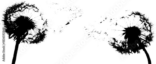 Black and white stencil of drifting meadow seeds for artistic design