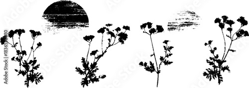 Monochrome botanical stencil illustration of drifting meadow seeds in artistic composition