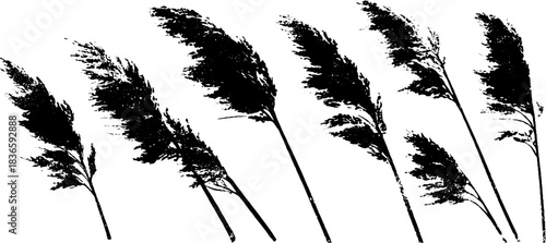 Black and white stencil of drifting underwater grass for artistic design