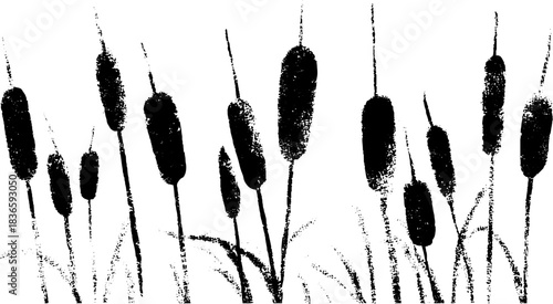 Black and white stencil illustration of early snow on cattails for nature design