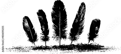 Black and white stencil illustration of feather clusters for art and design projects