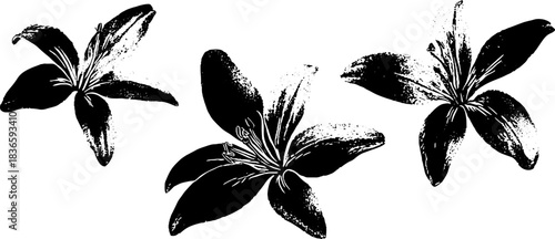 Black and white stencil of floating lily blooms for artistic design
