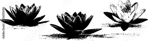 Black and white stencil illustration of floating lily blooms for artistic design