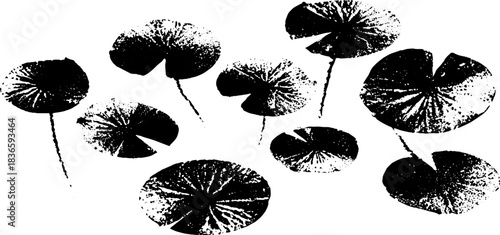 Black and white stencil illustration of floating water lily design for print or poster use
