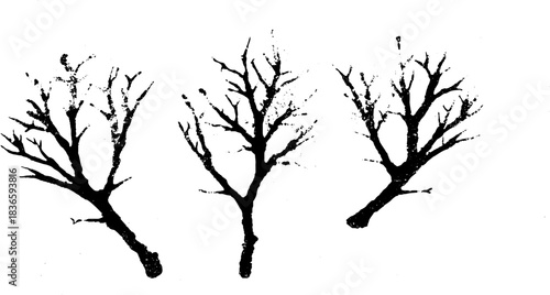 Black and white stencil illustration of frost-covered twigs for winter design